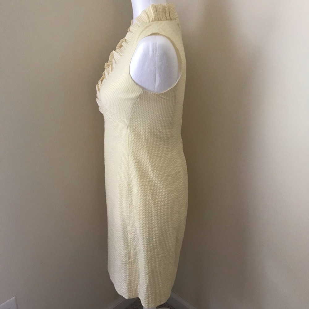 Lily Pulitzer Dress - Picture 3 of 5